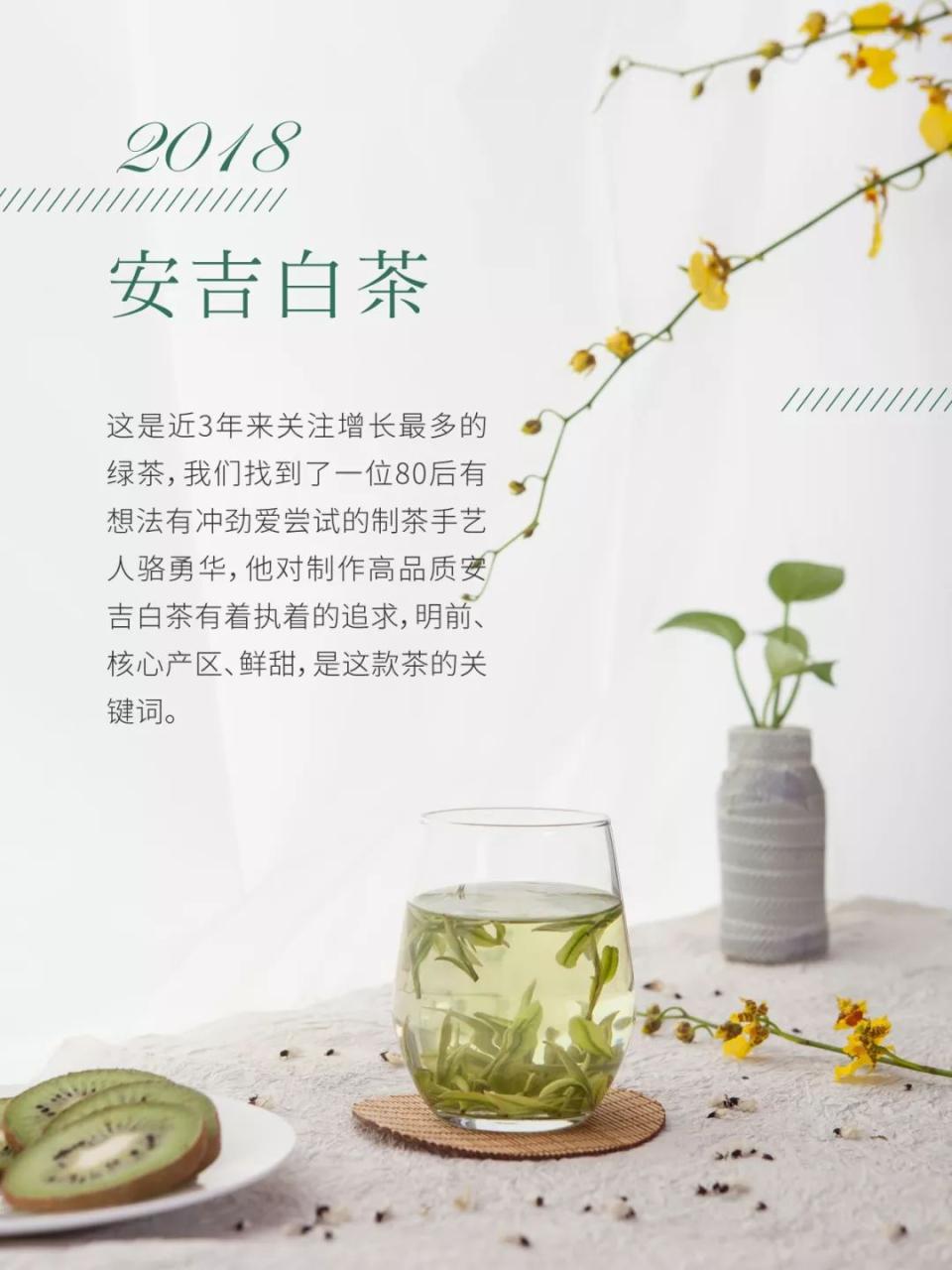 安吉白茶和松阳白茶哪一个好_安吉白茶_溧阳白茶和安吉白茶那个好