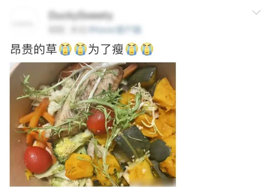 程丹彤减脂瘦身茶评价_程丹彤减脂瘦身茶官网_减脂