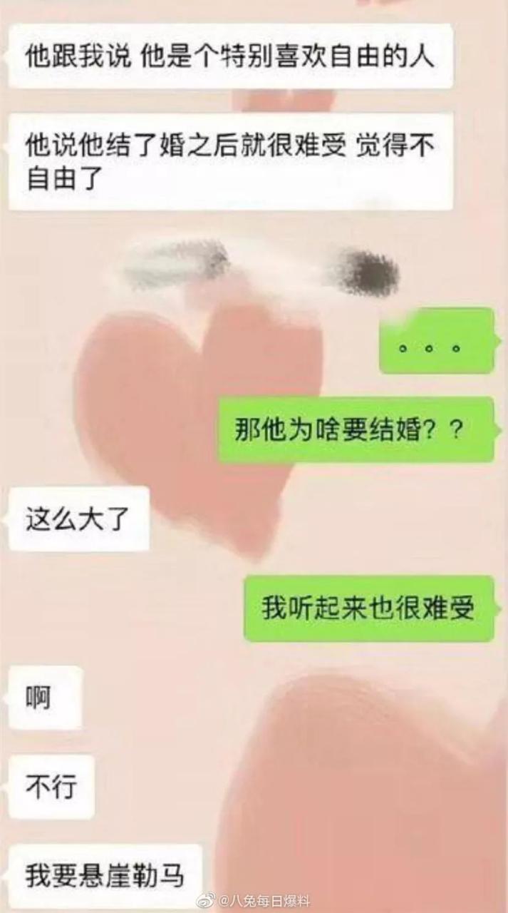 张杰和谢娜是不是形婚_谢娜张杰婚苏有朋现场直播_张杰谢娜什么时候离的婚是真的吗