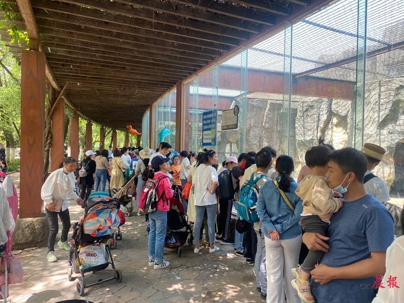 天津武清绿博园门票_天津动物园门票_天津德园祥园