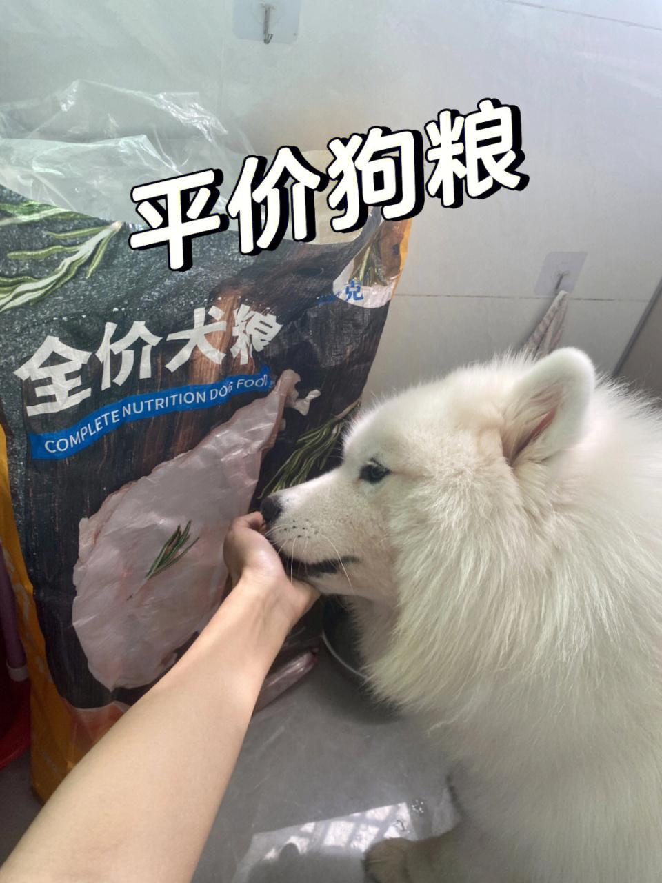 皇家royalcanin 宠物狗粮 小型犬奶糕_暗黑3死神之镰豪华版幽灵犬宠物怎么没有_宠物犬