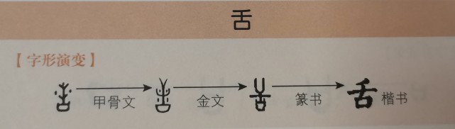 会意字_安意如签售会视频_西安 唇意浓浓会所有服务