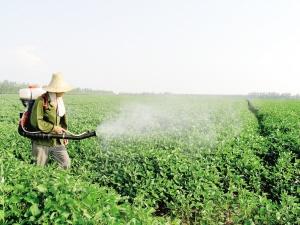 潮虫怎么彻底消灭_蚧壳虫怎样彻底消灭_马陆虫怎么彻底消灭