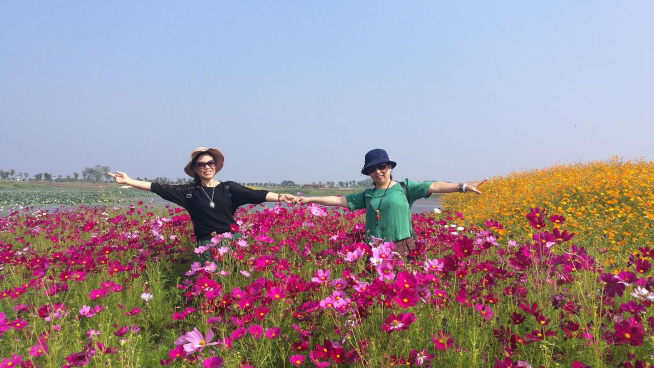 恩平锦江温泉二天团_锦江温泉_锦江温泉是天然温泉吗