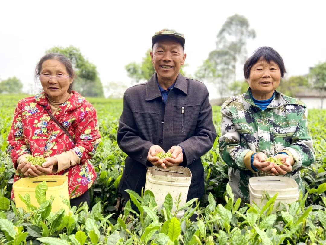 茶油_金浩茶油好还是高正茶油好_正宗茶油鸭技术 茶油鸭配方