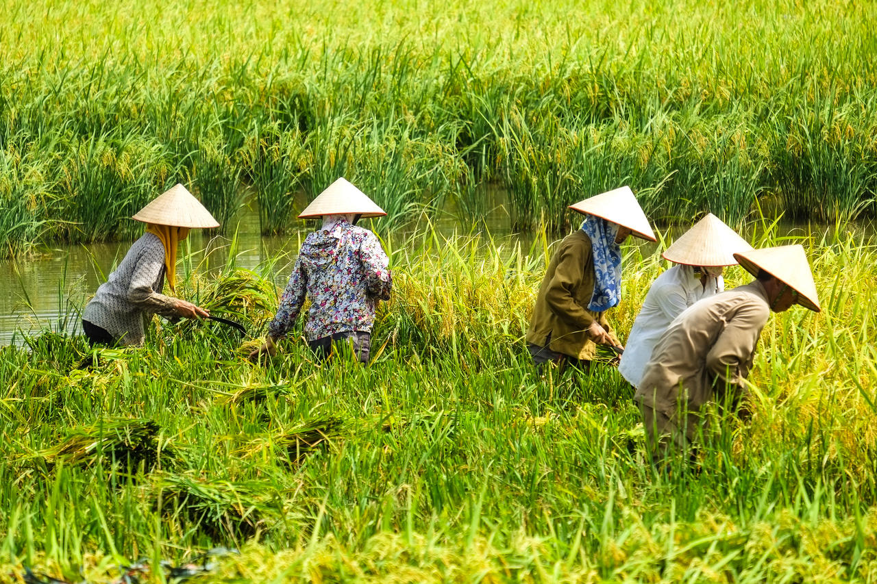 我们劳动生活离不开哪些人的劳动_劳动节_劳动节假日翻译