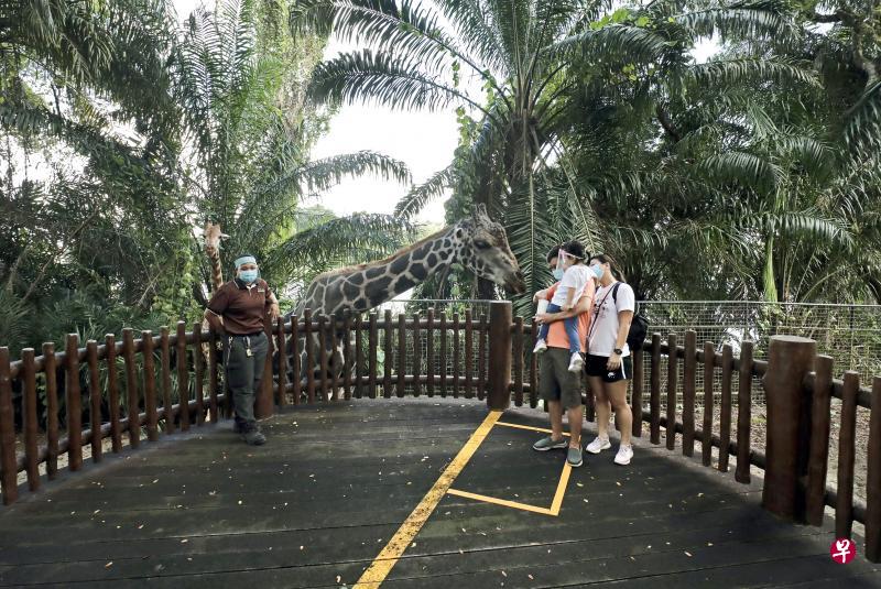 天津武清绿博园门票_天津动物园门票_天津德园祥园