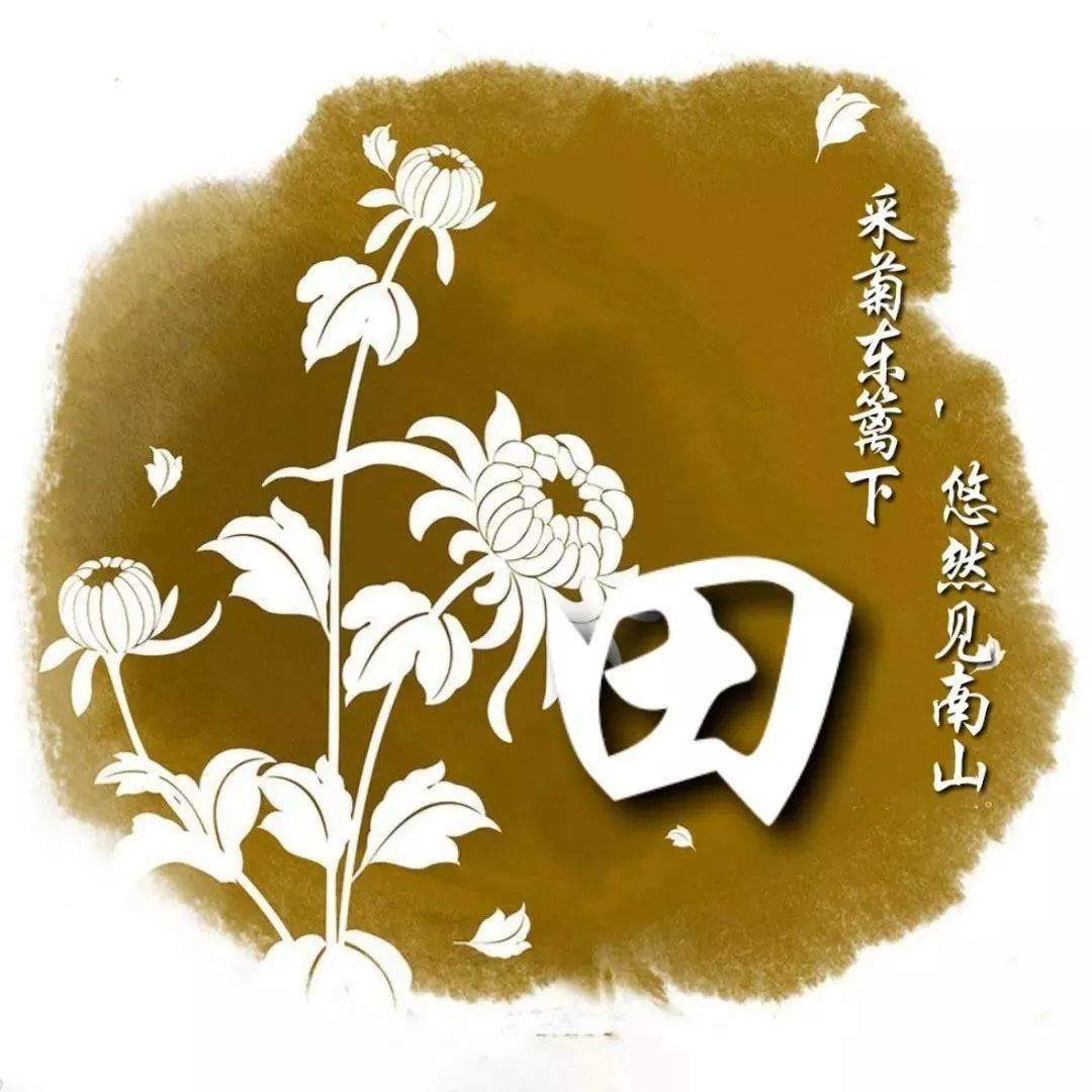 竹菊梅兰白描图片_关于竹菊梅兰的诗句_梅兰竹菊