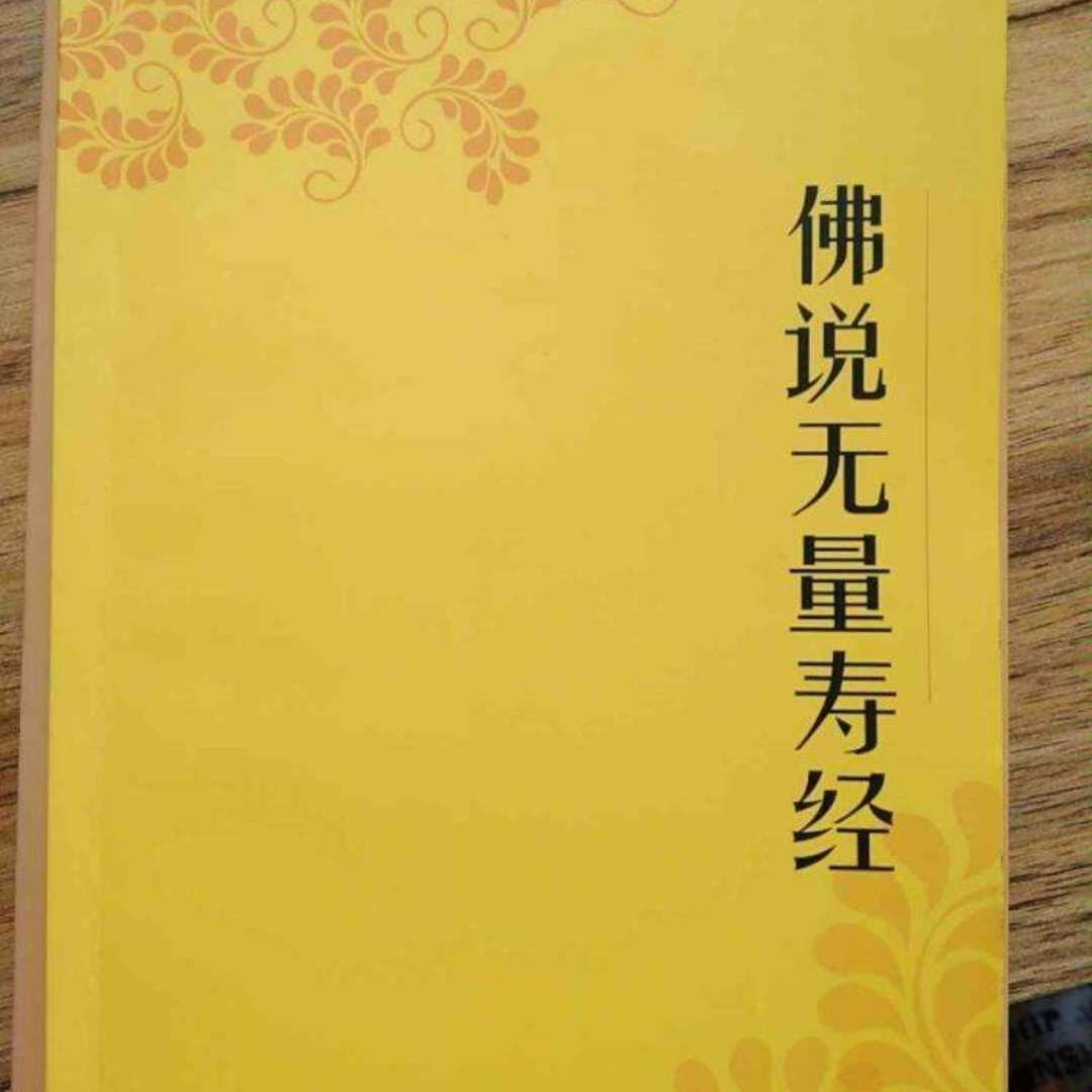 此生无悔入东方 来世愿生幻想乡_我愿为你放下全部此生让我来渡_愿此生情长不负时光歌词