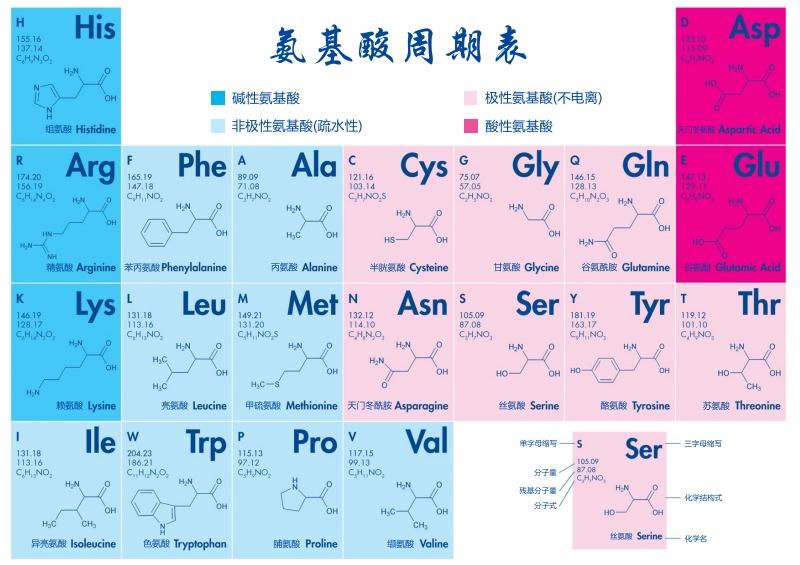 牛肉的营养价值及功效与作用_牛磺酸的功效与作用_中药牛黄的功效与作用