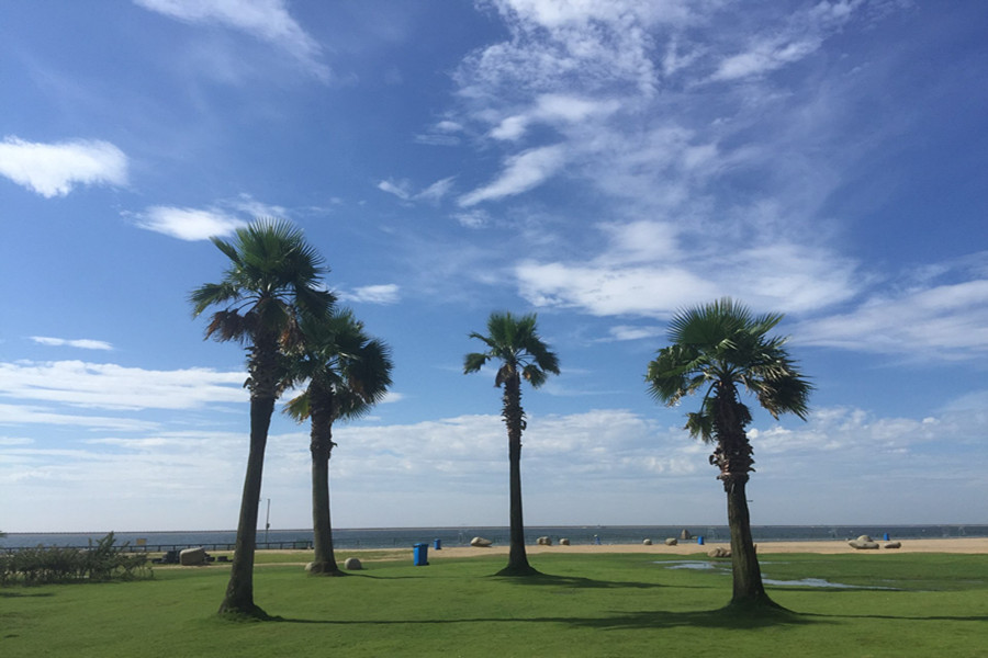 上海浴场_上海南汇哪个浴场脏_上海浴场招聘管理