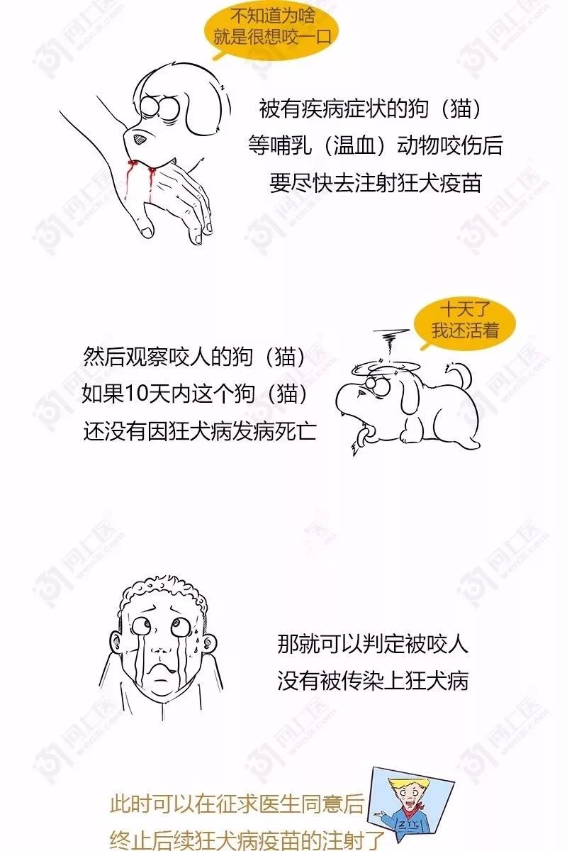 猫抓伤狂犬病几乎为0_被猫抓伤十天后猫没事_被猫抓伤猫没死没事吧