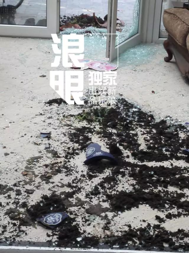 樊馨蔓年龄_樊馨蔓_樊馨蔓 书生马云