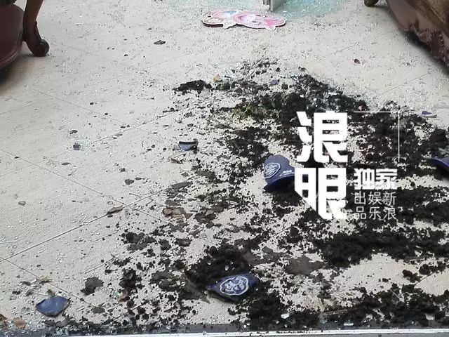 樊馨蔓_樊馨蔓年龄_樊馨蔓 书生马云