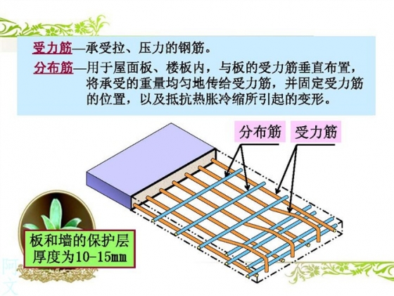 钢筋比重是多少_钢筋直径6的比重_钢筋比重