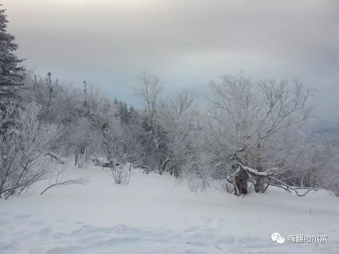 去宁夏旅游有哪些景点_哈尔滨景点大全适合夏天旅游_哈尔滨旅游必去景点