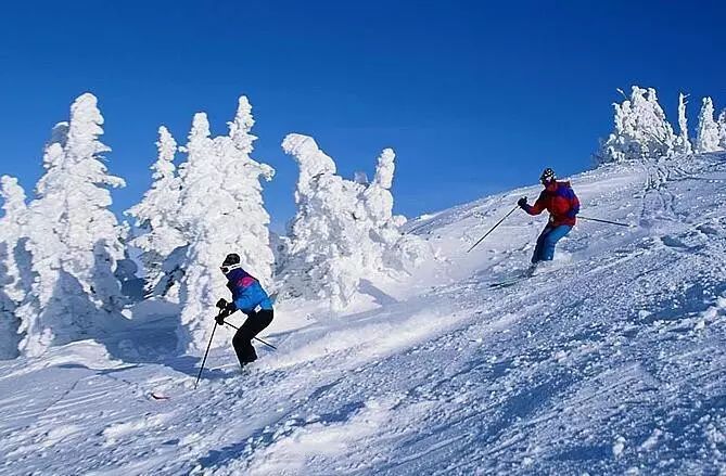 哈尔滨旅游必去景点_去韶山旅游有几个景点_去北京旅游有哪些景点?