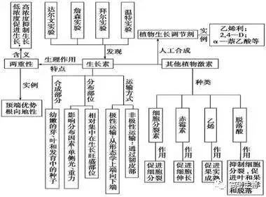 植物医生有没有激素_纯植物化妆品排激素_植物激素