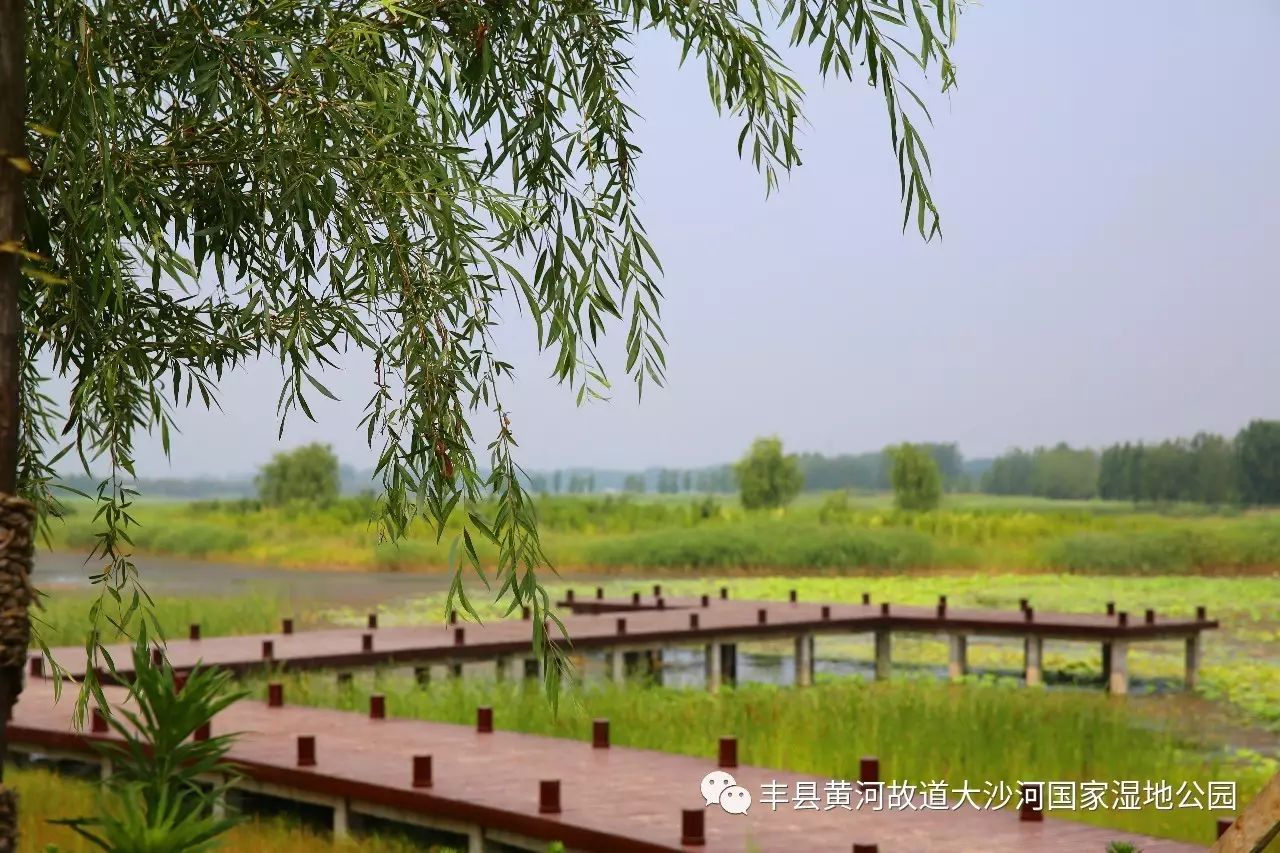 中牟县黄河湿地汽车公园_大沙河湿地公园_琉璃河湿地森林遗址公园