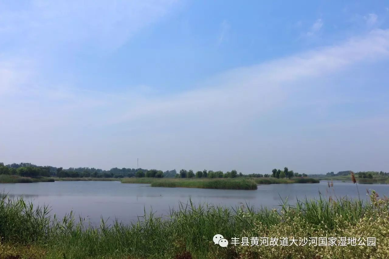 大沙河湿地公园_中牟县黄河湿地汽车公园_琉璃河湿地森林遗址公园