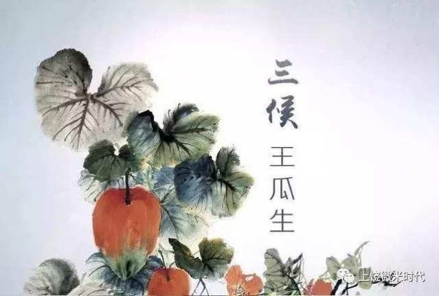 立夏三候_候跃华和候跃文的矛盾_汤峪镇候家村候立柱