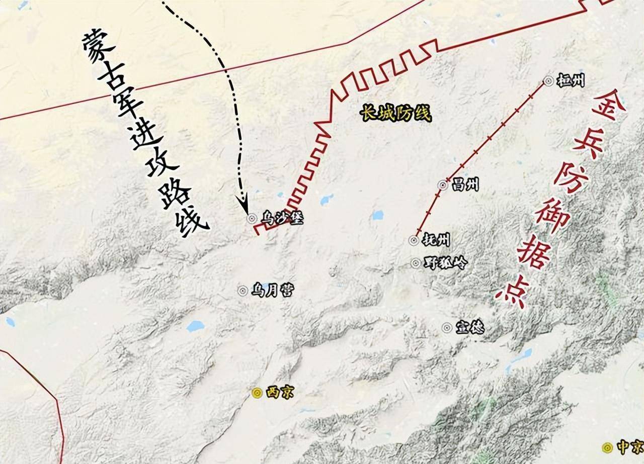 亡国公主之金国宠妃_邬金国 现代金报 王颖_金国