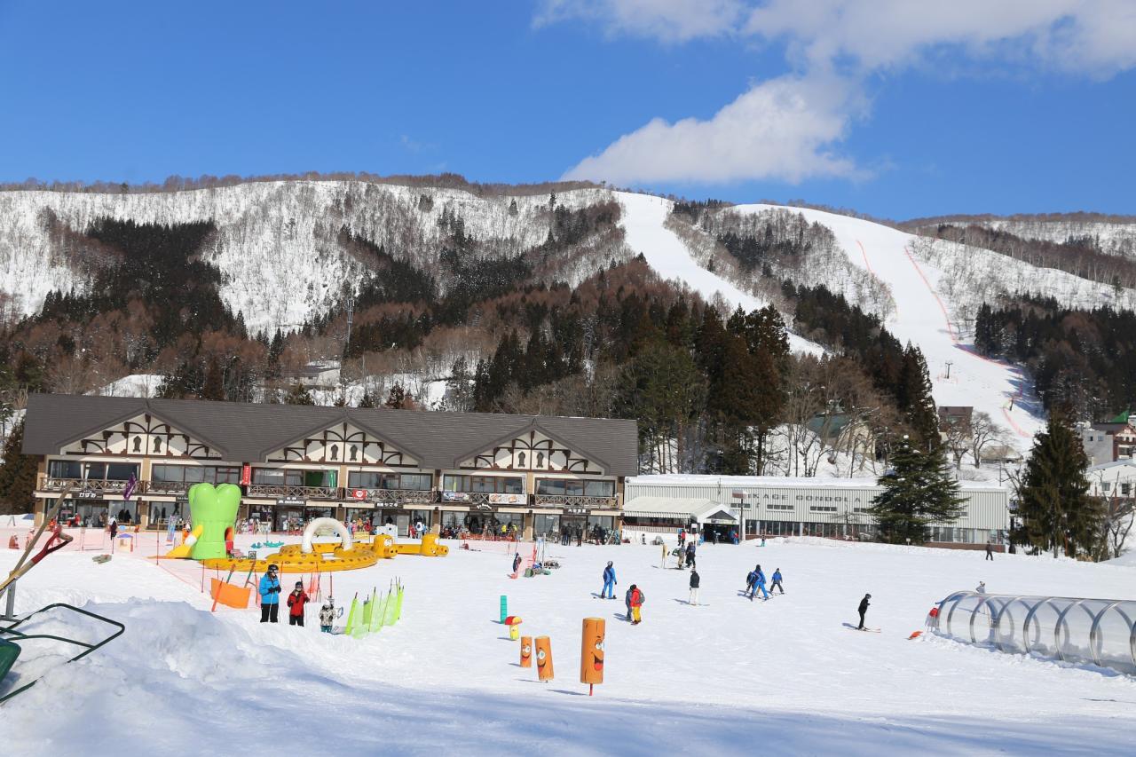 单板滑雪和双板滑雪_安波滑雪场_北京滑雪网滑雪俱乐部