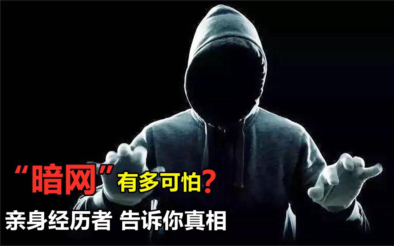 上暗网犯法吗_火狐浏览器怎样上暗网_暗网怎么上