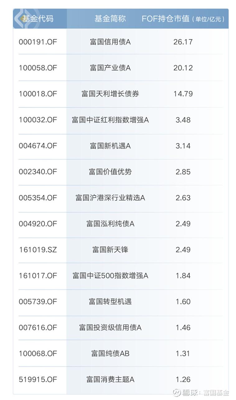 富国天博基金净值查询今日_富国天博前基金_富国天博前基金