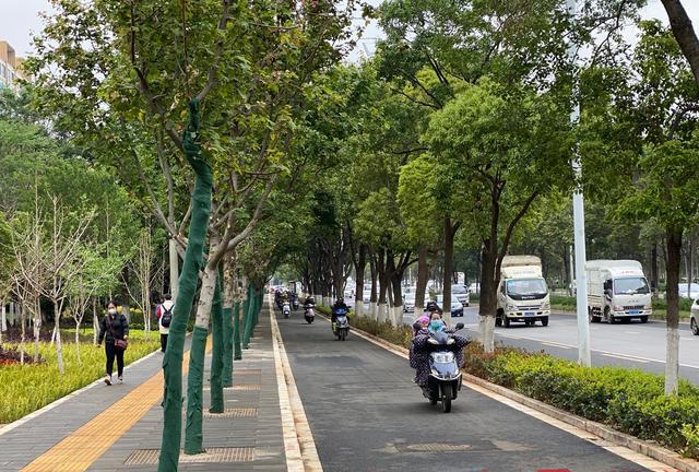 城市主干路_加油站与城市快速路,主干路的防火距离_加油站与城市快速路 主干路的防火距离是