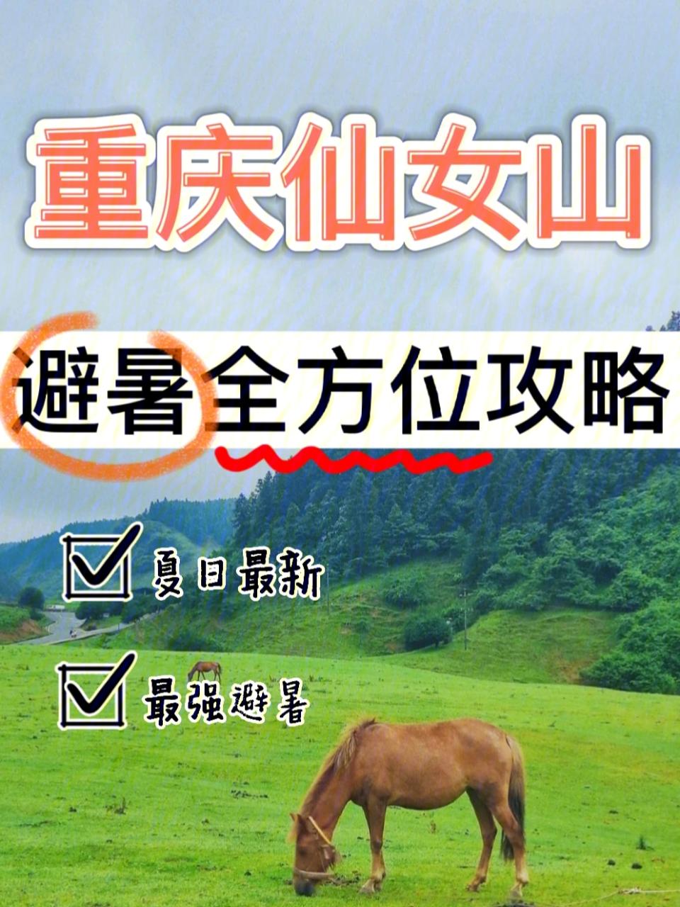 菜园坝汽车站_重庆菜园坝汽车站到泸州时刻表_重庆菜园坝汽车站到南充