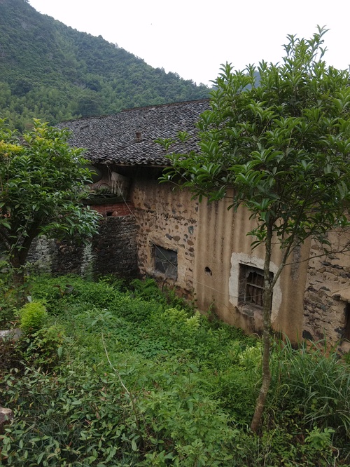 丁屋岭_上海有机所 丁奎岭_篁岭怪屋为啥进去会头晕