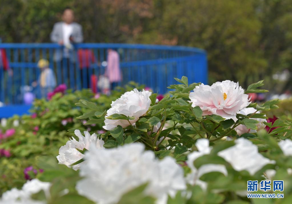 菏泽教肓信息网_菏泽教育信息网官网_菏泽教育信息网