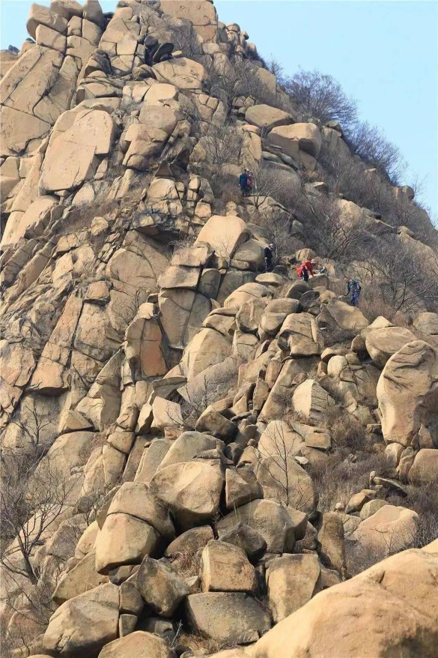 泰山小孩子可以爬吗_泰山小雪茄多少钱一盒_小泰山