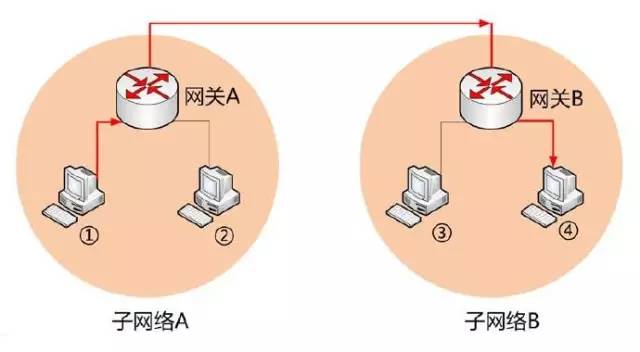 dns协议中文名_dns是什么协议_dns协议