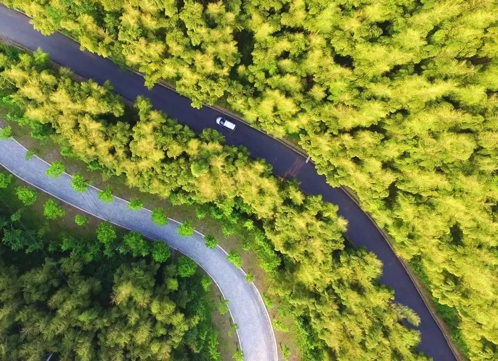 井空大峡谷路线_峡谷井酒价格_井空里大峡谷