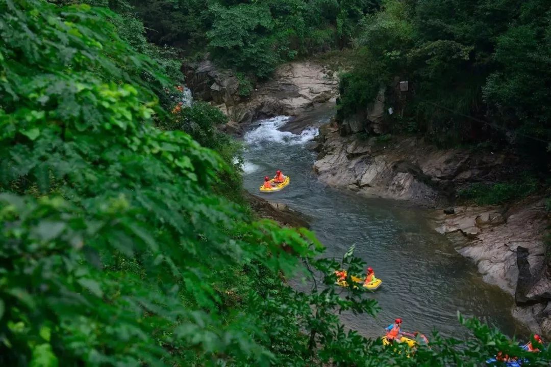 峡谷井酒价格_井空里大峡谷_井空大峡谷路线