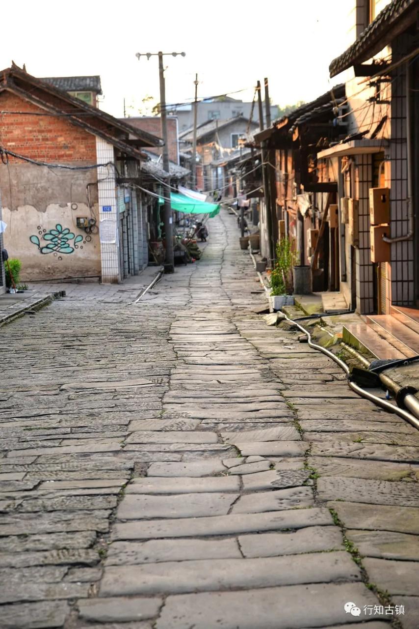 盐道街_盐街道小学东湖校区_盐街道中学怎么样