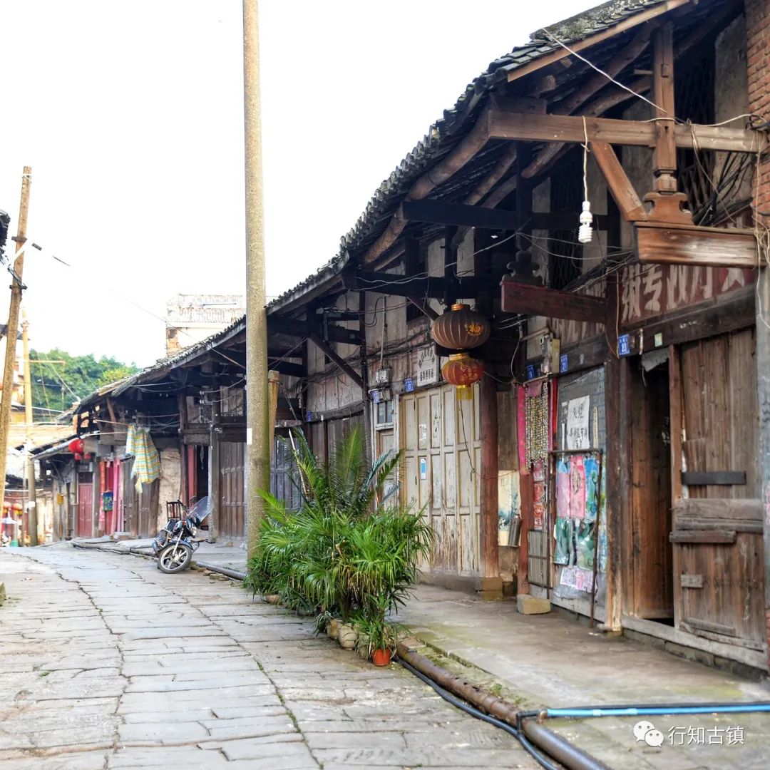 盐街道小学东湖校区_盐道街_盐街道中学怎么样