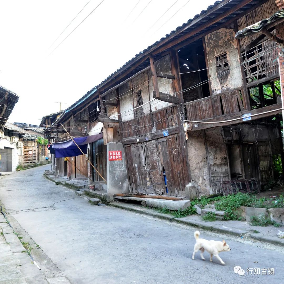 盐道街_盐街道小学东湖校区_盐街道中学怎么样