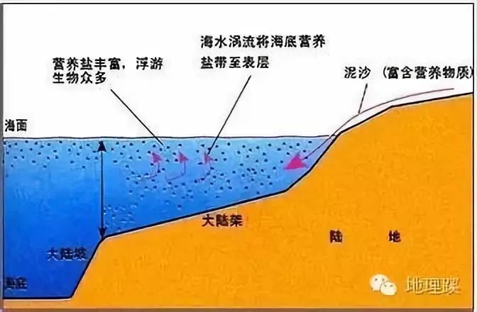 纽芬兰渔场是怎么形成的_纽芬兰渔场_纽芬兰渔场成因