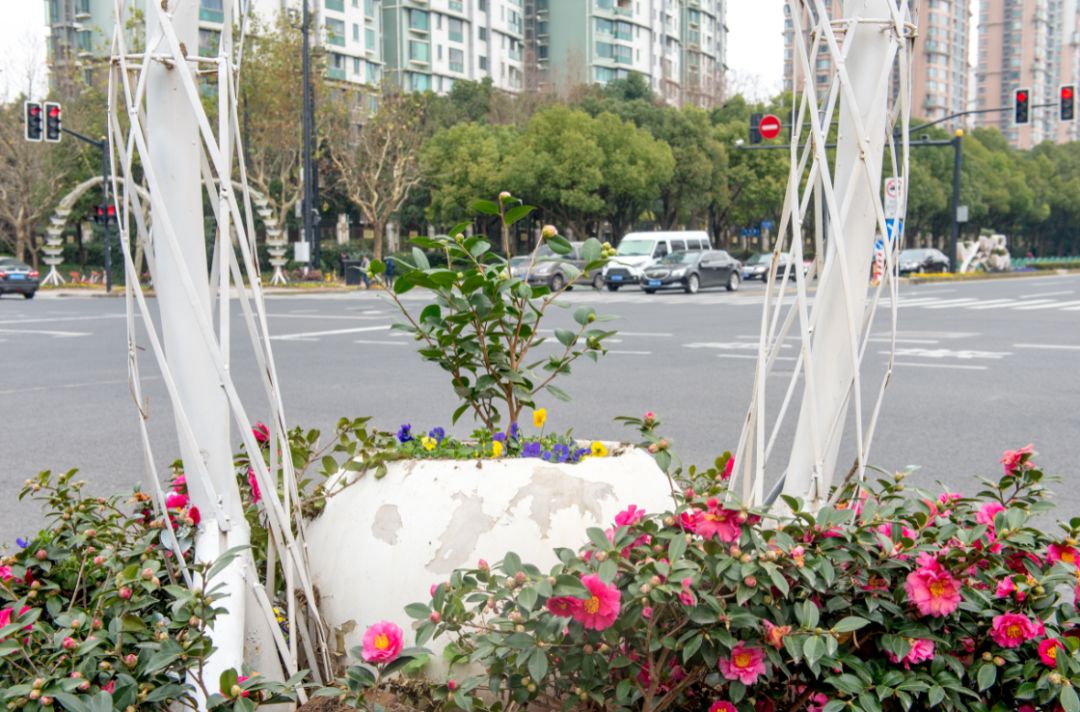 道路城市化改造是什么意思_道路城市图片_城市道路