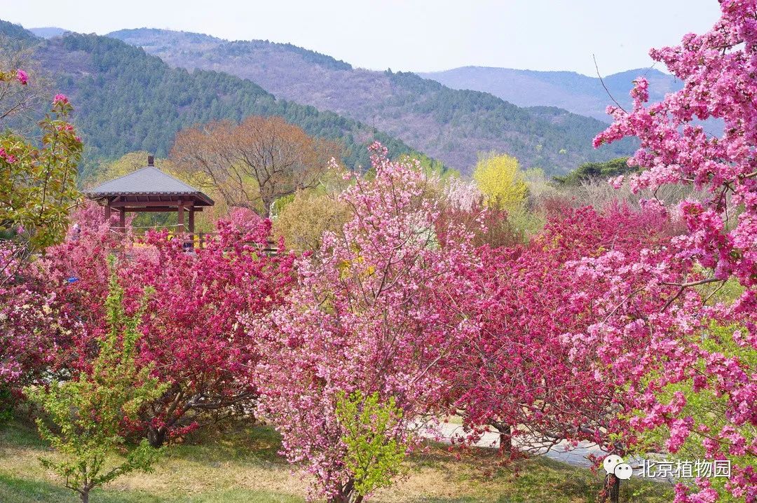 第四届全国青年美展入选名单_北京国家植物园_中国作家库入选