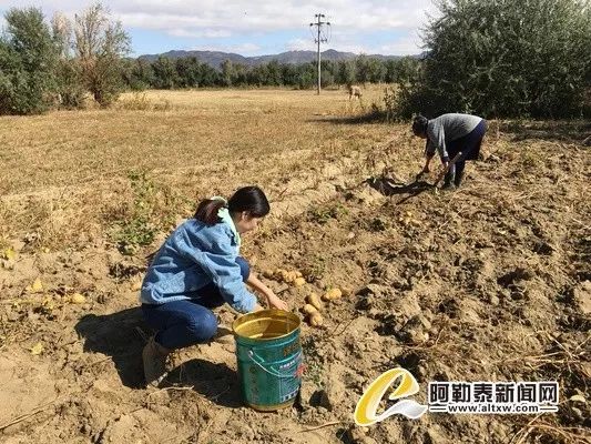 阿帕茶什么梗_阿帕茶名场面_阿帕茶表情