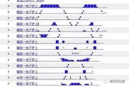 面壁者罗辑的破壁者_刷百度排名_我是您的破壁者