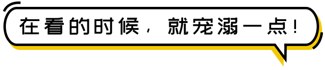 重庆轨道交通15号线_重庆轨道交通开工_重庆交通轨道线路