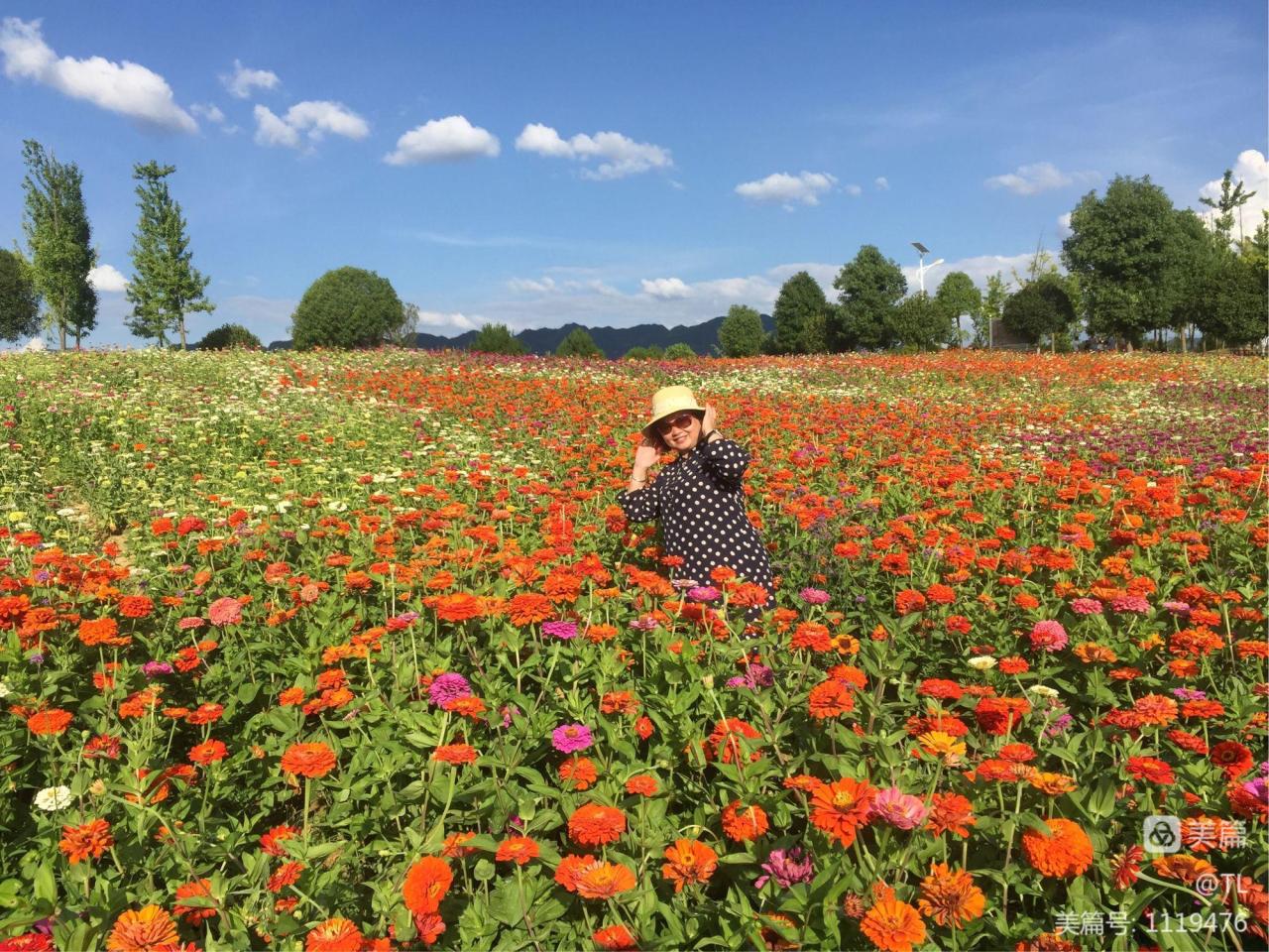 徐志摩《陌上花开》原文_徐志摩陌上花开写给谁的_徐志摩花开花落