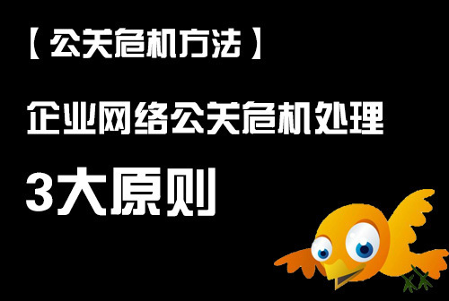 网络公关_公关网络的功能包括_公关网络用语