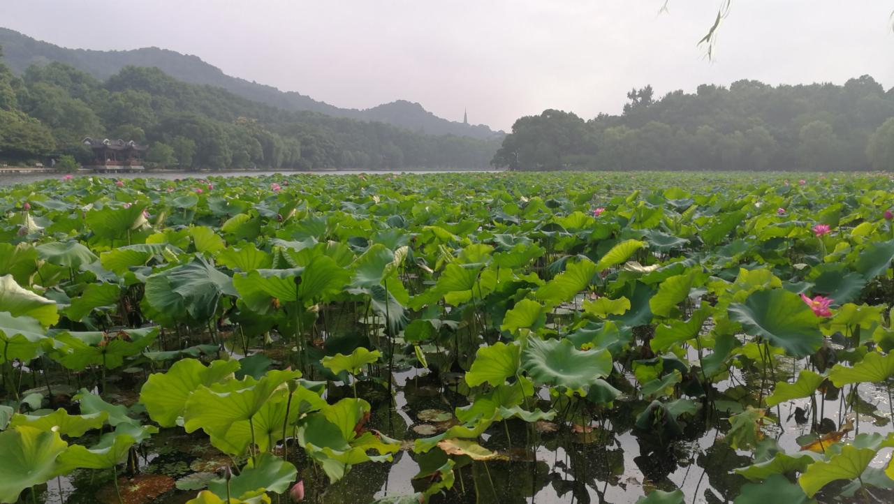 杭州周边玩耍_杭州周边游_暑假杭州周边游