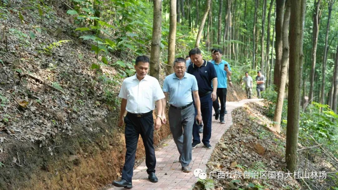 大桂山林场_大桂山林场简介_大桂山林场场长